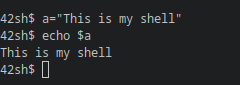 A picture of a shell